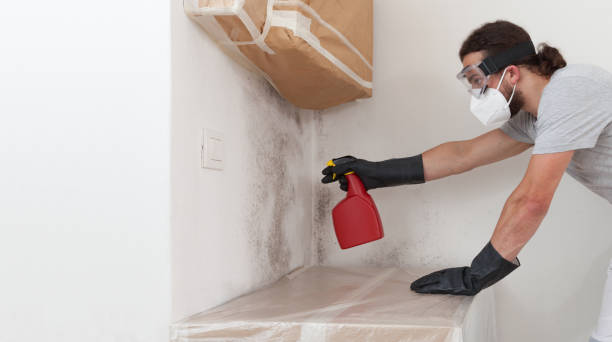 Professional Mold Inspection And Testing technician working in Hauppauge, NY
